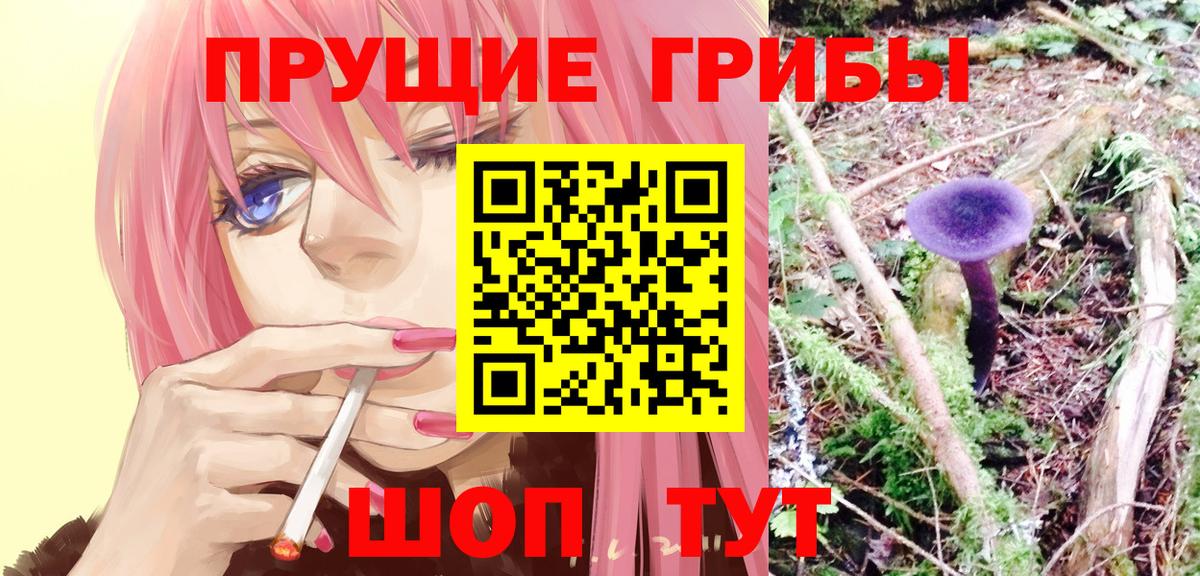 Галлюциногенные грибы MAGIC MUSHROOMS  Галлюциногенные грибы ЛСД  Вход с VPN  Зима 